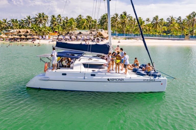 Catamaran 36 ft