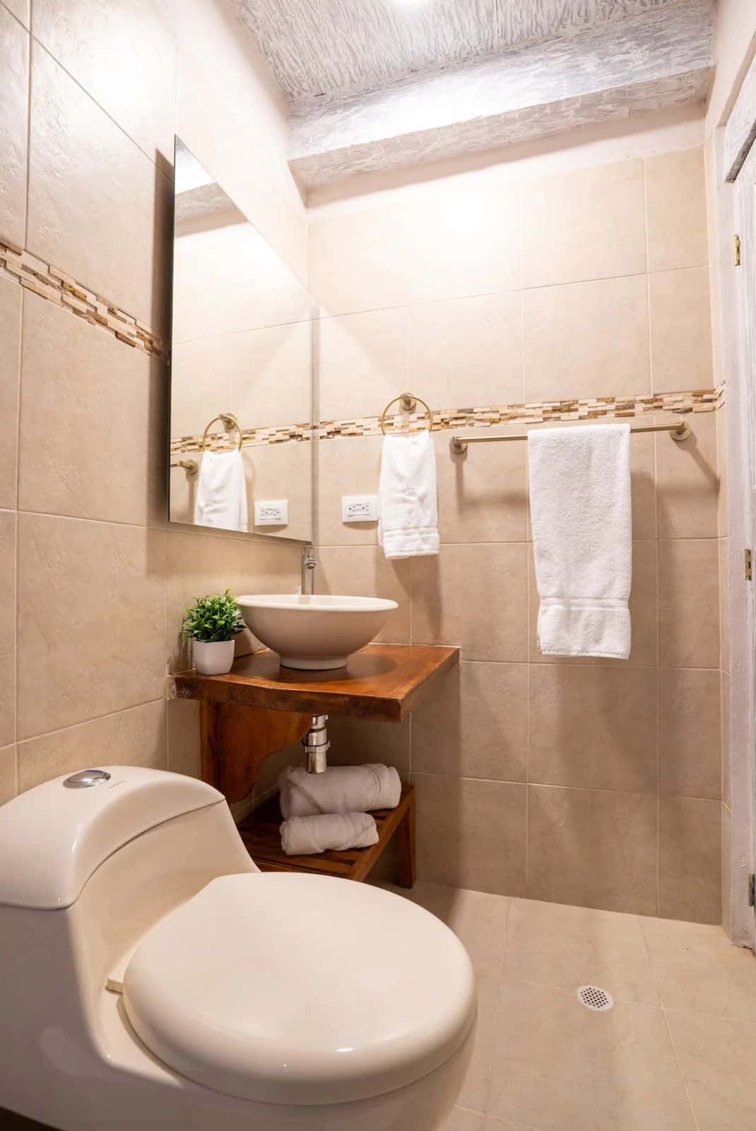 WhatsApp Image 2024-10-17 at 7.20.39 PM (3)