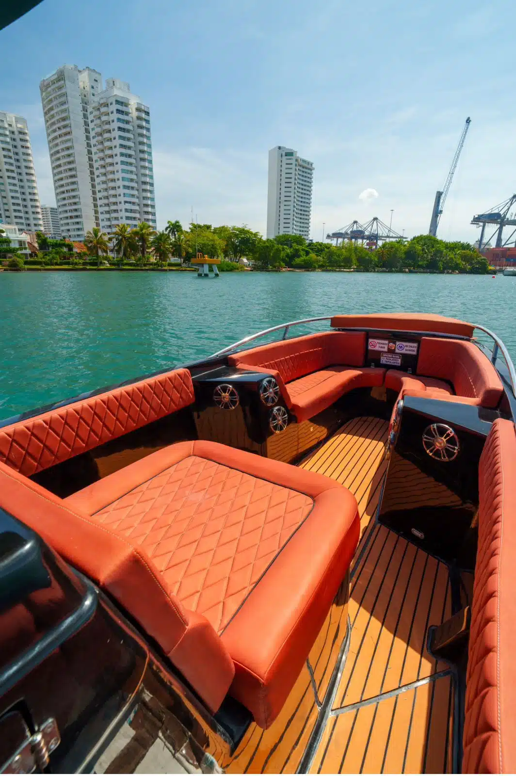 WhatsApp Image 2025-01-20 at 9.01.47 AM