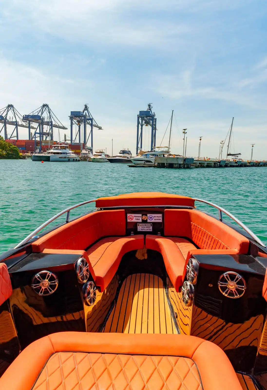 WhatsApp Image 2025-01-20 at 9.01.48 AM (1)