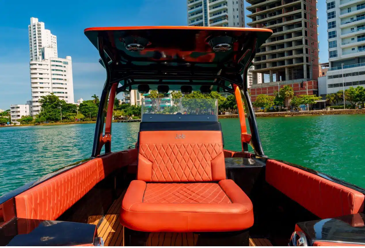 WhatsApp Image 2025-01-20 at 9.01.48 AM