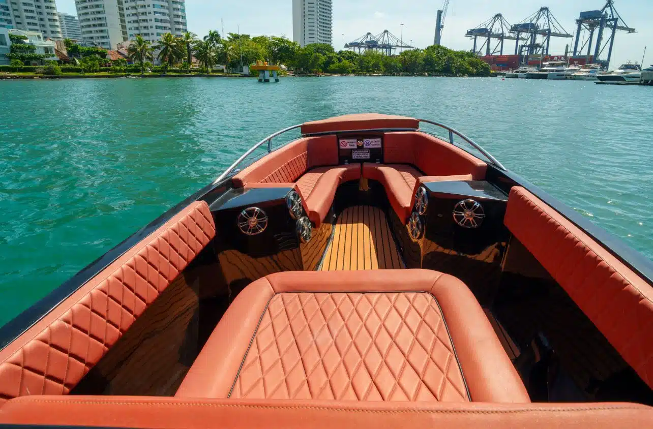 WhatsApp Image 2025-01-20 at 9.01.49 AM